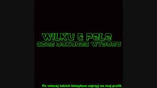 Wilku Pelson  Czas dokonac wyboru [upl. by Aneroc261]