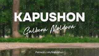 Kapushon  Galbenă Moldovă [upl. by Handy]