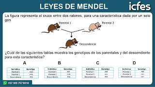 📚 ICFES 2024  Ciencias Naturales Leyes de Mendel [upl. by Ervin]