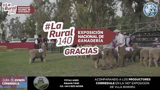 Jura Corriedale Parte 1  Transmisión en vivo de Sociedad Rural Bahía Blanca 2024 [upl. by Tupler]