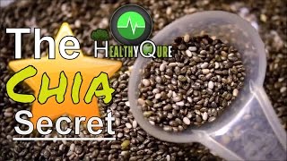 How Much Chia Seed Should you Eat [upl. by Rodgers280]