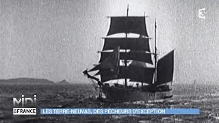 VU DICI  Les TerreNeuvas des pêcheurs dexception [upl. by Gerhardine]