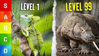 QUEL est le LÉZARD Le Plus 💥 PUISSANT sur TERRE tier list [upl. by Fini409]