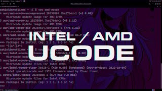 He ahi la importancia de MICROCODE  Intel  AMD  Instalalo ya [upl. by Einaffyt743]