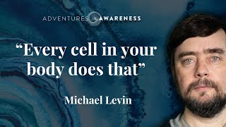 Michael Levin Consciousness in every cell [upl. by Lymann431]