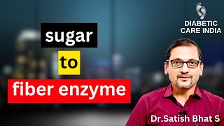 Sugar to fiber Enzyme  DrSatish Bhats  Diabetic Care India [upl. by Xonel]