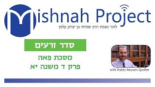 Peah Chapter 4 Mishnah 11 [upl. by Zindman]