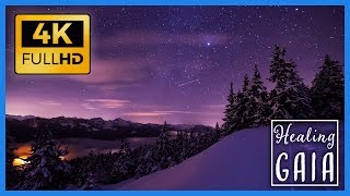 ❄🌲 4K Sonidos de la NIEVE en INVIERNO ▶ Ventisca para DESCANSAR 🎄⛄ 8 HORAS [upl. by Bennett]