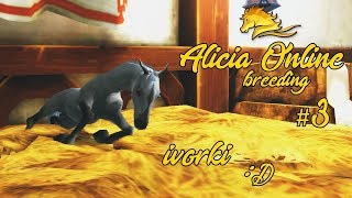 Alicia Online Breeding 3 ivorki D [upl. by Amaryllis532]