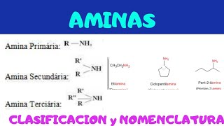 AMINAS  Nomenclatura de Aminas Primarias Secundarias Terciarias  Cíclicas Diaminas [upl. by Bertsche213]