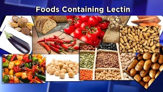 Lectins The New Diet Enemy [upl. by Gauldin]