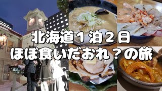 【Vlog】真冬に北海道旅行してみた【札幌】 [upl. by Loralyn834]