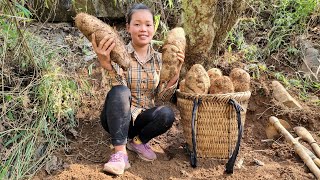 FULL VIDEO 55 Days Harvest Grated tubers Bamboo shoots Vegetables Ginger  market to sell [upl. by Nadnal]