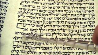 Maftir Reading Toldot Torah Rabbi Weisblum קריאת מפטיר תולדות הרב ויסבלום [upl. by Casia]