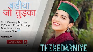 BADIYA JO TUDKA LANA HO THEKEDARNIYE 🎧 Kullvi dhamaka 💐 Pahadi Nonstop Dj Remix 💐PahadiLofi295 💐 [upl. by Ardnuasal]