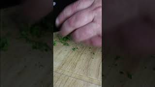 Chopping Parsley with a Shogun Cleaver ASMR asmrfood food [upl. by Lednew483]