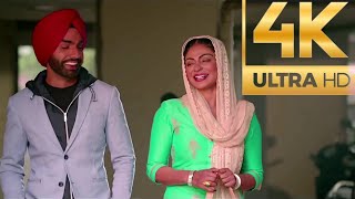 Laung Laachi 2 tutorial  Amberdeep Singh  Ammy Virk  Neeru Bajwa [upl. by Verras367]