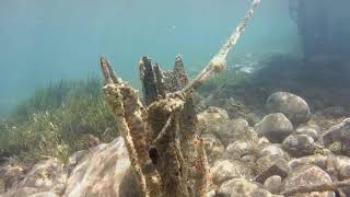 Snorkeling in Molyvos Lesvos Rollei 500 Sunrise action cam [upl. by Acirrehs]