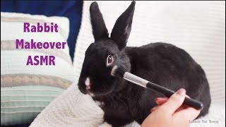 Rabbit Gets a Makeover  ASMR  RELAXING [upl. by Ayota]