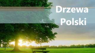 Drzewa Polski [upl. by Cottrell]