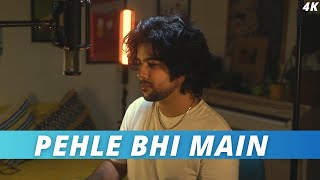 Pehle Bhi Main Unplugged  Animal  Ranbir Kapoor Tripti Dimri Vishal Mishra  Siddharth Slathia [upl. by Kreit]