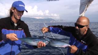 Italian Fishing TV  Shimano  Traina costiera [upl. by Church318]