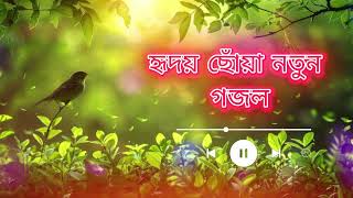 হৃদয় ছোঁয়া নতুন গজল🥰🌹 Heart Touching Beautiful Naat 2024  Cute Bayezid [upl. by Ettelimay997]