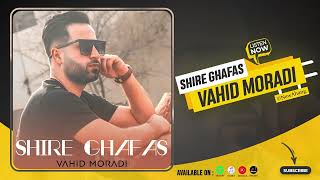 Vahid Moradi  Shire Ghafas  OFFICIAL AUDIO وحید مرادی  شیر قفس [upl. by Viviana]