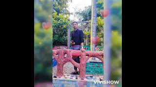 King khan song jawan shahr song bollywood [upl. by Evvy]