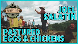 Joel Salatin Talks PASTURED EGGS and CHICKENS on Polyface Farm [upl. by Inkster981]