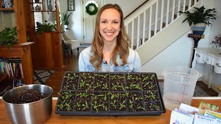 How to start seeds indoors with step by step instructions and demonstrations Northlawn Flower Farm [upl. by Dougall]