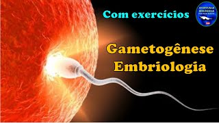 Gametogênese e Embriologia  Exercícios [upl. by Rianna851]