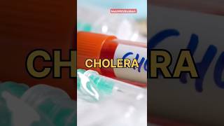 Cholera Prevention Tips for Health  Cholera disease rehydration ors health mbbs medical [upl. by Juditha]