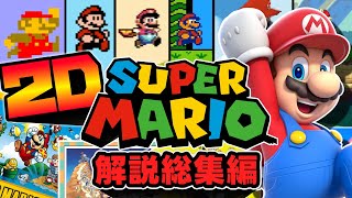 【総集編】歴代2Dスーパーマリオ解説まとめ [upl. by Temple52]