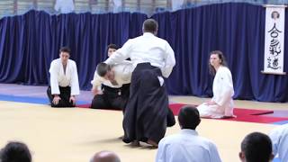 AIKIDO FOUNDATION  KOBAYASHI RYU quotSummer Camp 2018 with Gembal Shihanquot [upl. by Edmund]