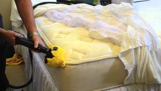 How to Kill Bed Bugs On A Mattress Using Steam [upl. by Jerold]