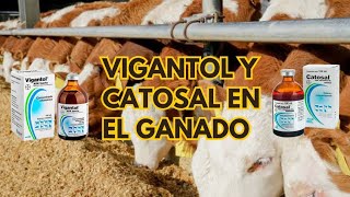 Vitaminas para mejorar la producción en el ganado 🐂🐑🌱🤠 [upl. by Clite]