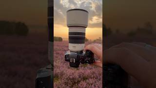 Using a Tele Lens for Landscape Photography Sure KameraExpressDeutschland CanonEurope [upl. by Ydolem756]