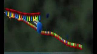 microRNA Formation and Fucntion [upl. by Andros]