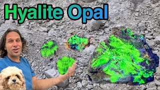 One of the BEST Hyalite Opal Claims on the Planet [upl. by Ecertap]