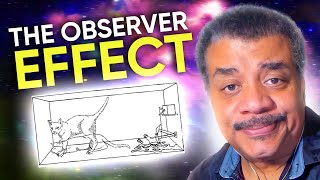 What is Schrödingers Cat  Neil deGrasse Tyson Explains [upl. by Sioled]