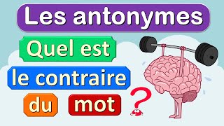 Le contraire des mots français  les antonymes [upl. by Yarb]