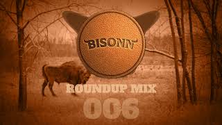 Bisonn Roundup Mix 006 Bass House  Tech House [upl. by Ash]