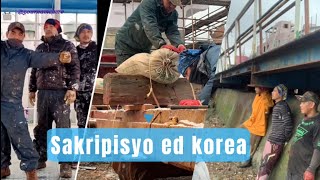 Sakripisyo ed korea joyjoyofficial [upl. by Leonsis]