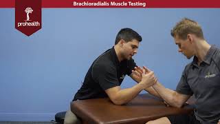 Brachioradialis Muscle Test Palpation Dr Vizniak Muscle Manual [upl. by Enomes991]