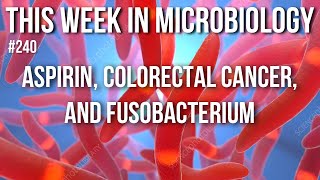 TWiM 240 Aspirin colorectal cancer and Fusobacterium [upl. by Plotkin]