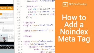 How to Add a Noindex Meta Tag [upl. by Rinaldo]