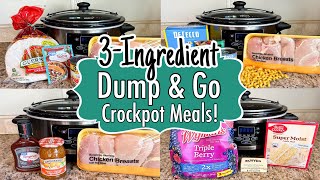 6 DUMP amp GO CROCKPOT DINNERS  The BEST Quick amp EASY 3INGREDIENT Slow Cooker Meals  Julia Pacheco [upl. by Dyun]