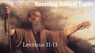 Bible Study  Leviticus 1113 [upl. by Glarum326]