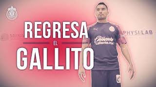 El regreso del Gallo Vázquez a Chivas 🐓  Especial [upl. by Esdnyl]